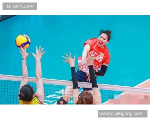 杭州排球队战术实力强劲荣登全国排球战术排行榜第三名